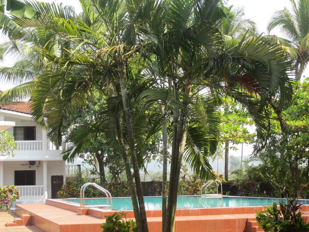 Hotel Riverside Бага Экстерьер фото